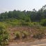  Land for sale in Ton Thong Chai, Mueang Lampang, Ton Thong Chai