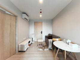 1 Bedroom Condo for rent at Nue Noble Srinakarin - Lasalle, Samrong Nuea, Mueang Samut Prakan, Samut Prakan