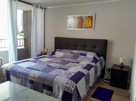 Studio Appartement zu verkaufen im Apartamento Argomedo, Puente Alto, Cordillera, Santiago