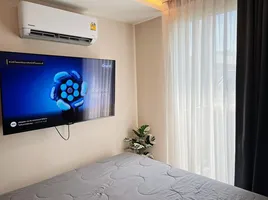 คอนโด 1 ห้องนอน ให้เช่า ในโครงการ IKON Sukhumvit 77, สวนหลวง, สวนหลวง, กรุงเทพมหานคร