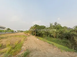  Land for sale in Phutthamonthon Nakhon Pathom, Khlong Yong, Phutthamonthon, Nakhon Pathom, Thailand