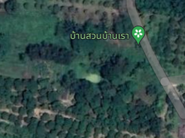  Land for sale in Don Pao, Mae Wang, Don Pao