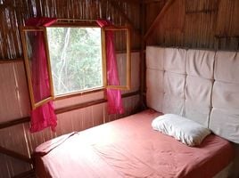 3 Schlafzimmer Villa zu vermieten in Esmeraldas, San Gregorio, Muisne, Esmeraldas