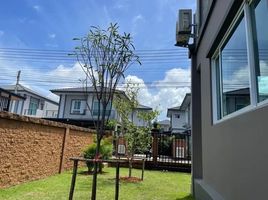 3 Schlafzimmer Haus zu vermieten im The Plant Thepkrasatti-Thalang, Thep Krasattri