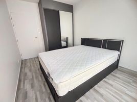 1 Bedroom Condo for rent at Pela Wutthakat, Talat Phlu, Thon Buri, Bangkok