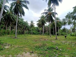  Land for sale in Surat Thani, Koh Samui, Surat Thani