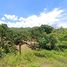  Land for sale in Mae Tha, Lamphun, Tha Sopsao, Mae Tha