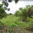  Land for sale in Nong Chom, San Sai, Nong Chom