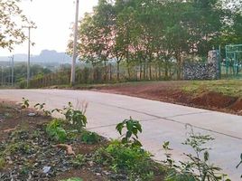  Land for sale in Na Din Dam, Mueang Loei, Na Din Dam