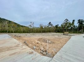  Grundstück zu verkaufen in Koh Samui, Surat Thani, Maenam