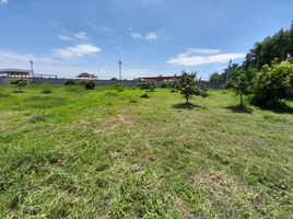  Grundstück zu verkaufen in Ban Haet, Khon Kaen, Ban Haet, Ban Haet