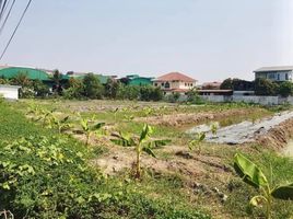  Land for sale in Pororo AquaPark Bangkok, Bang Na, Bang Na