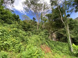  Land for sale in Karon, Phuket Town, Karon