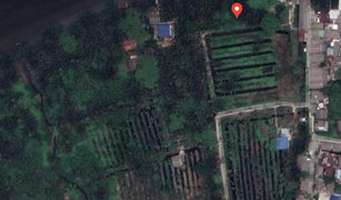 Земельный участок, N/A на продажу в Bang Kachao, Самутпракан 