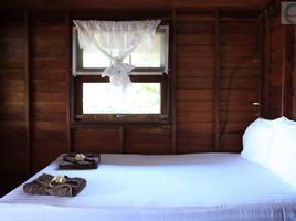 1 Schlafzimmer Haus zu vermieten im The Ocean Phangan Homestay, Ban Tai