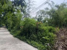  Grundstück zu verkaufen in Dau Tieng, Binh Duong, Thanh An
