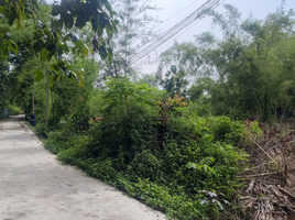  Land for sale in Vietnam, Thanh An, Dau Tieng, Binh Duong, Vietnam