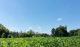 N/A Land for sale in Ang Thong, Phayao 