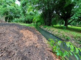 ขายที่ดิน ใน ดอยสะเก็ด เชียงใหม่, ป่าเมี่ยง