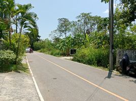 3 Schlafzimmer Haus zu vermieten in Mueang Krabi, Krabi, Pak Nam, Mueang Krabi