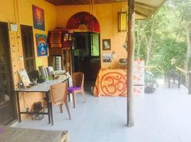 3 Bedroom House for sale in Krabi, Ko Lanta Yai, Ko Lanta, Krabi