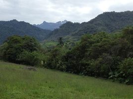  Land for sale in AsiaVillas, Apuela, Cotacachi, Imbabura, Ecuador