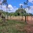  Land for sale in Pococi, Limon, Pococi