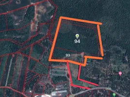 在南奔府出售的 土地, Makok, Pa Sang, 南奔府