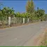  Land for sale in San Sai Chiang Mai, Nong Yaeng, San Sai