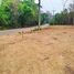  Land for sale in Phichai, Mueang Lampang, Phichai