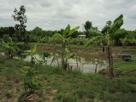  Land for sale in Chiang Mai, Mae Taeng, Mae Taeng, Chiang Mai