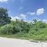  Land for sale in Nonthaburi, Bang Phut, Pak Kret, Nonthaburi