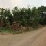  Grundstück zu verkaufen in Mae Rim, Chiang Mai, Mueang Kaeo, Mae Rim