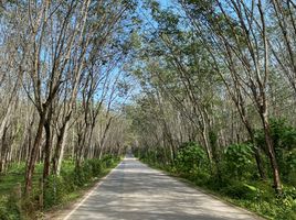  Grundstück zu verkaufen in Thalang, Phuket, Choeng Thale