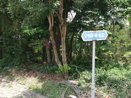  Land for sale at Sirivalai Rangsit Klong 1, Pracha Thipat