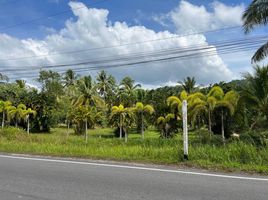  Grundstück zu verkaufen in Takua Pa, Phangnga, Bang Sai, Takua Pa