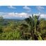  Land for sale in Golfito, Puntarenas, Golfito