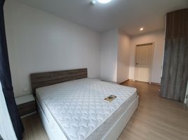 2 Schlafzimmer Wohnung zu vermieten im Supalai Veranda Rama 9, Bang Kapi, Huai Khwang