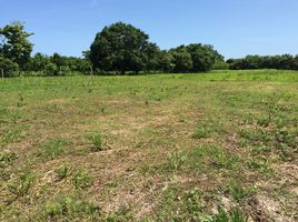  Land for sale in Chiriqui, Baru, Chiriqui