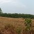  Land for sale in Na Prang, Pong, Na Prang