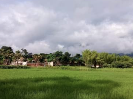  Land for sale in Mae Rim, Chiang Mai, Mae Rim