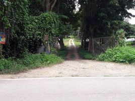  Land for sale in I Love Flower Farm, Mueang Kaeo, Mueang Kaeo