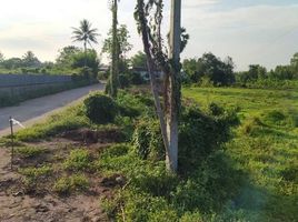  Grundstück zu verkaufen in Mueang Kamphaeng Phet, Kamphaeng Phet, Trai Trueng