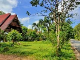 3 Schlafzimmer Haus zu verkaufen in Bang Klam, Songkhla, Tha Chang, Bang Klam, Songkhla