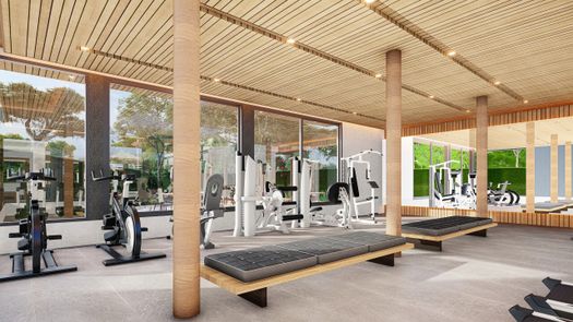 사진들 1 of the Communal Gym at Mouana Breeze Maikhao