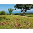  Land for sale in Golfito, Puntarenas, Golfito