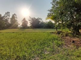  Land for sale in Rai Noi, Mueang Ubon Ratchathani, Rai Noi