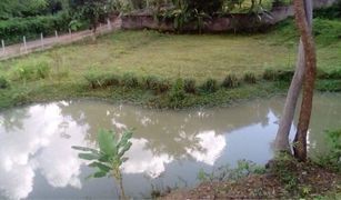 N/A Land for sale in Nam Phrae, Chiang Mai 