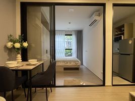 1 Bedroom Apartment for rent at Dcondo Reef Phuket, Kathu, Kathu, Phuket