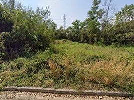  Land for sale in Chomphu, Mueang Lampang, Chomphu